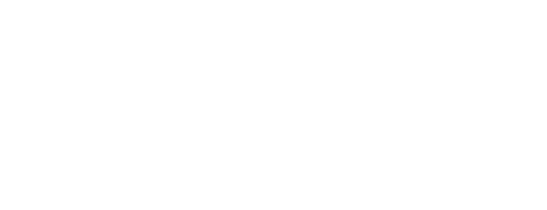 CHUBB Logo
